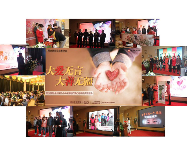 百家企业齐聚中海，慈善拍卖共献爱心