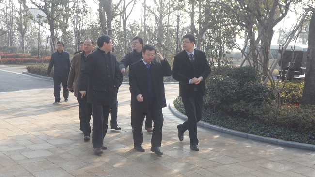 合肥市副市长周善武一行参观考察嶺湖墅