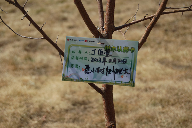 长春中海播种希望 描绘明天大型业主植树活动