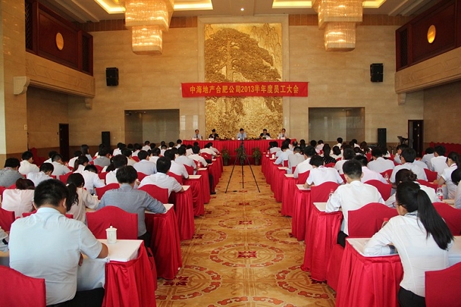 合肥公司2013年上半年员工大会顺利召开