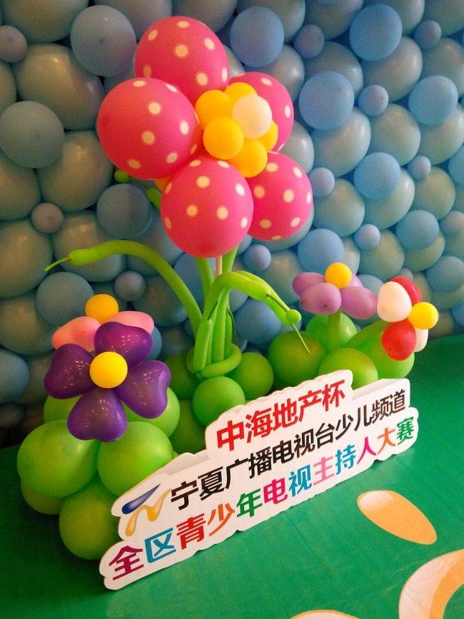 银川“中海地产杯”青少年电视节目主持人大赛开赛啦