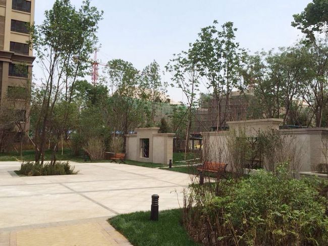 沈阳中海明珠盛大入住，恭迎千余位城市领袖归家！
