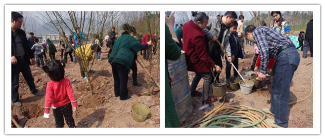绿色心愿，用心呵护—2014年3月重庆国际社区植树节活动