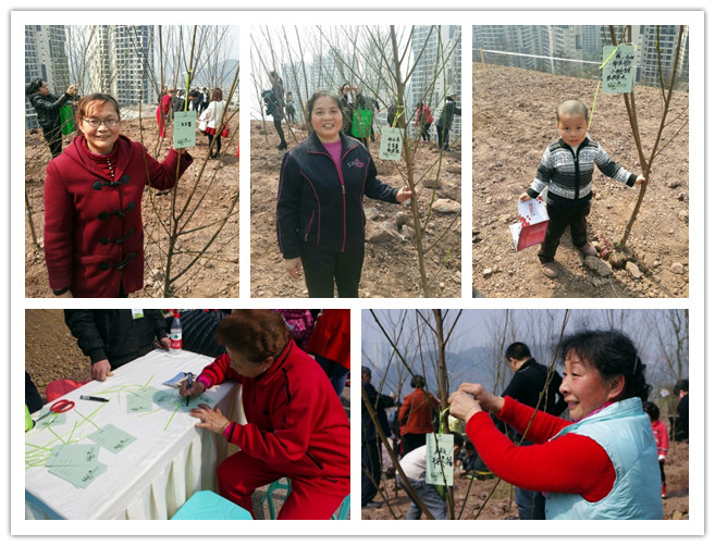 绿色心愿，用心呵护—2014年3月重庆国际社区植树节活动