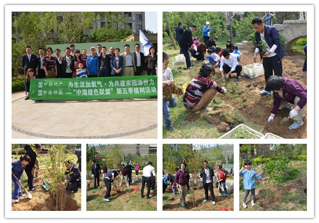 “北京中海绿色联盟”第五季苗木补植活动圆满结束