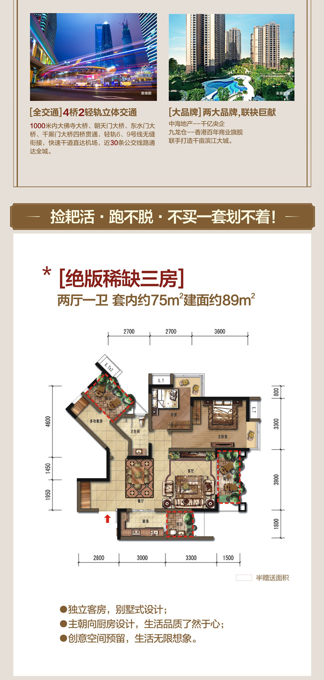 5200元/㎡起抢重庆南滨路江景楼王现房
