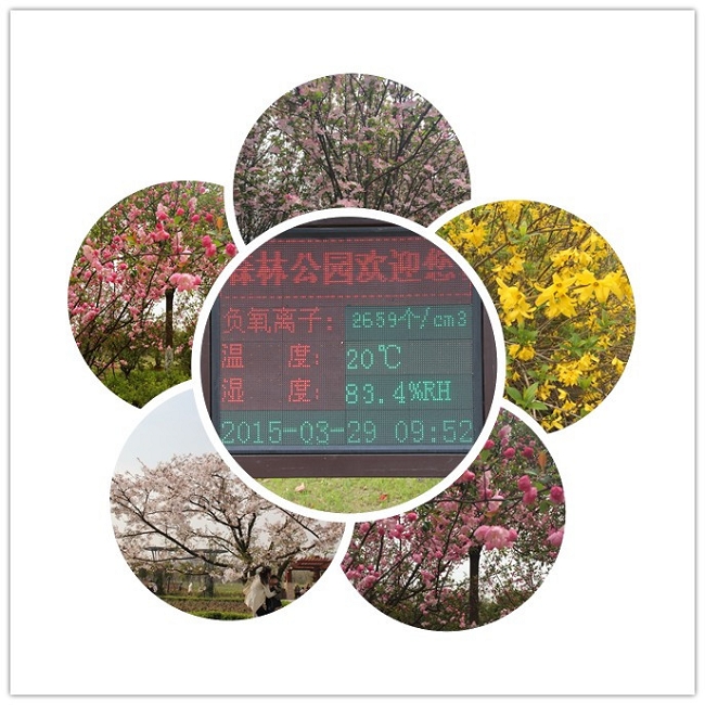 春意盎然时，徒步健康行——记合肥公司蜀山西扩景区徒步活动