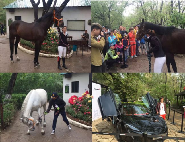 沈阳中海盛京府“骑士风范 荣耀归来”活动圆满落幕！