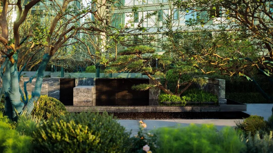 5b9045c5-0c4d-4e84-83b0-c76a3b095377