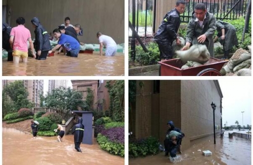 中海地产与中海物业联合抗洪抢险,保卫家园 中海地产与中海物业联合抗洪抢险,保卫家园